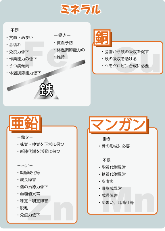 鉄：－不足－貧血・めまい・息切れ・免疫力低下・作業能力の低下・うつ病傾向・体温調節能力低下－働き－・貧血予防・体温調節能力の維持／銅：・腸管から鉄の吸収を促す・鉄の吸収を助ける・ヘモグロビン合成に必要／亜鉛：－働き－・味覚・嗅覚を正常に保つ・新陳代謝を活発に保つ－不足－・動脈硬化等・成長障害・傷の治癒力低下・血糖値異常・味覚・嗅覚障害・脱毛・免疫力低下／マンガン：－働き－・骨の形成に必要－不足－・脂質代謝異常・糖質代謝異常・皮膚炎・骨形成異常・成長障害・めまい、耳鳴り等